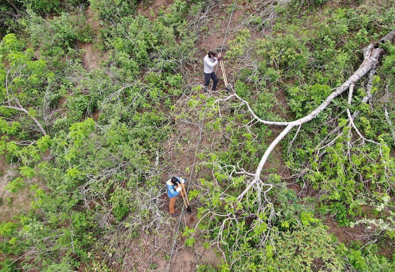 2 men plant palo santo trees on a steep slope in Loja, Ecuador.