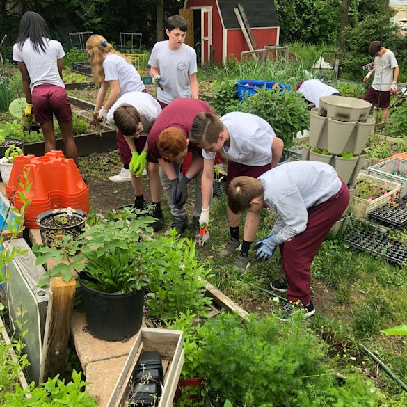  Group of young students gardening 